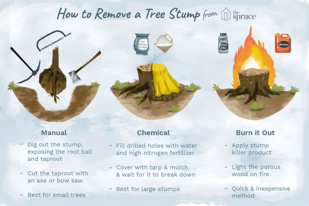 stump removal process