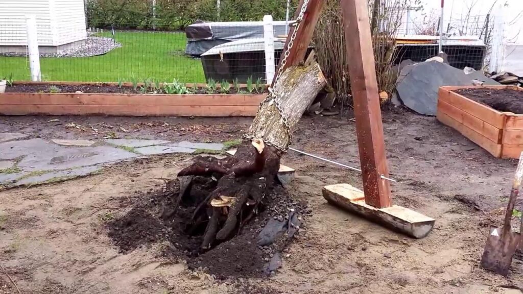 Extract the Stump