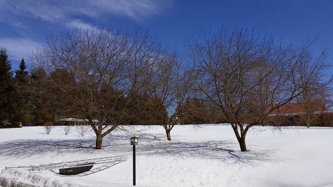 imgi_15_9601942_orig