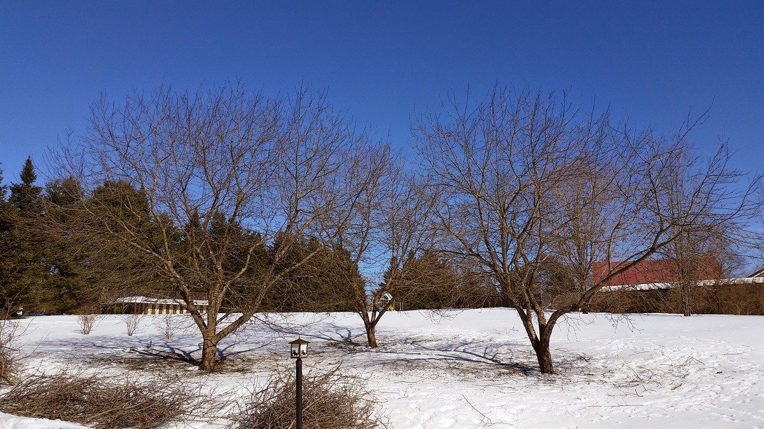 imgi_16_7618932_orig