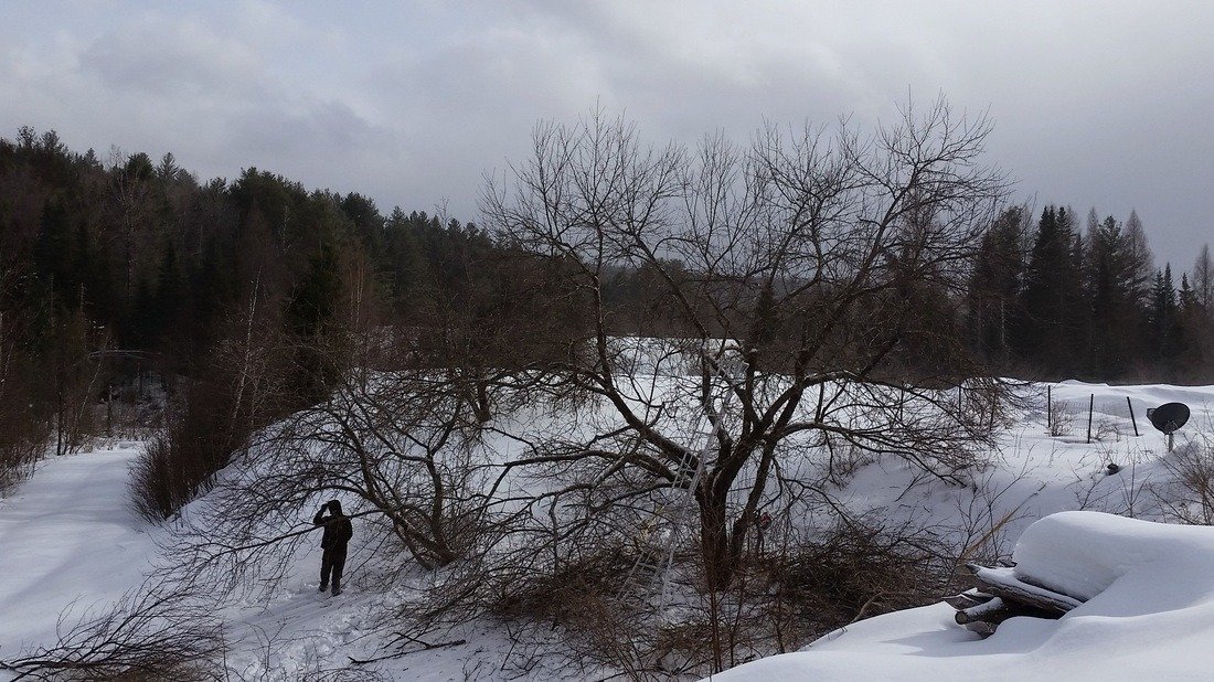 imgi_18_5383578_orig