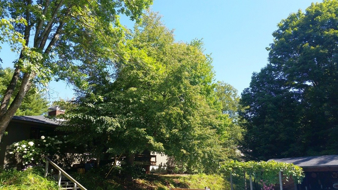 imgi_28_5606950_orig