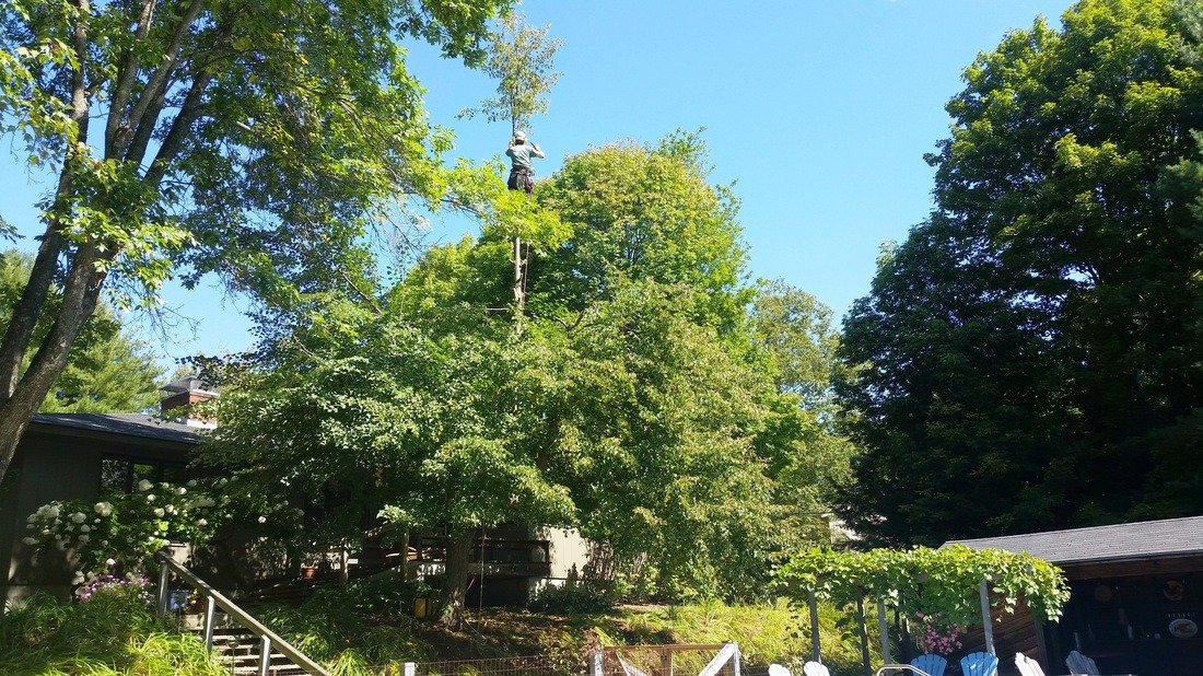 imgi_29_7467705_orig