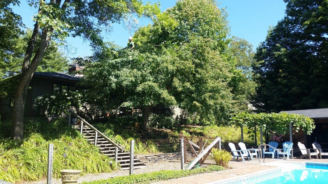 imgi_30_6927795_orig