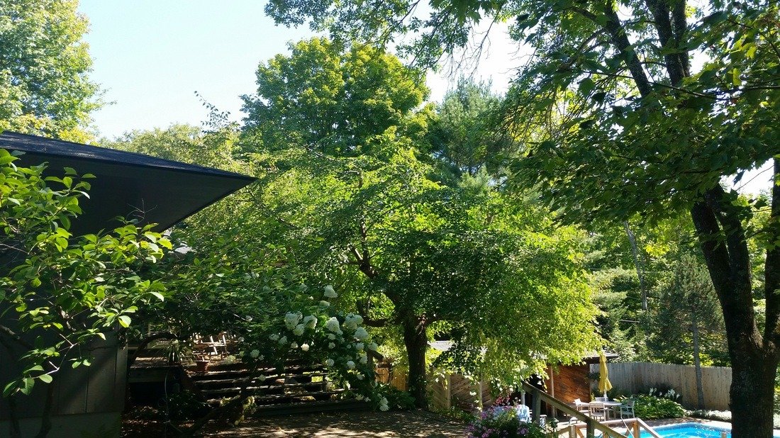 imgi_33_6177745_orig