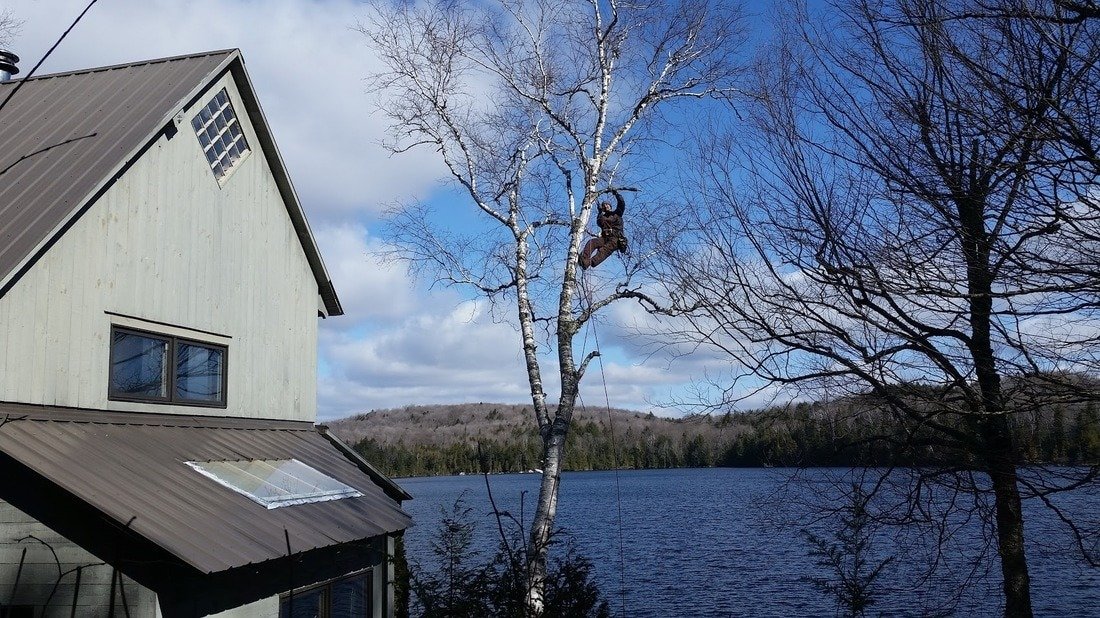 imgi_3_20160413-093355_orig