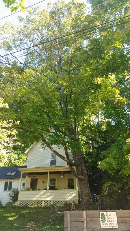 imgi_63_8952597_orig