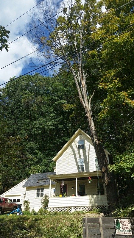 imgi_64_1868080_orig