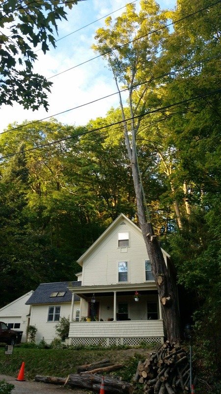 imgi_65_1258918_orig