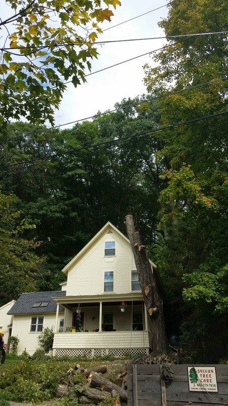 imgi_66_5115493_orig