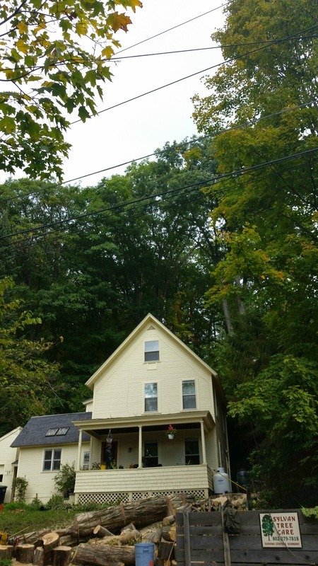 imgi_67_6097161_orig