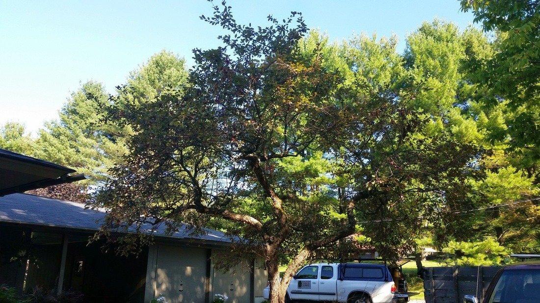 imgi_74_6336442_orig