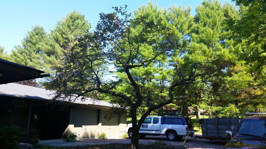 imgi_75_3137218_orig