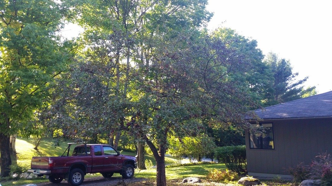 imgi_76_2799844_orig