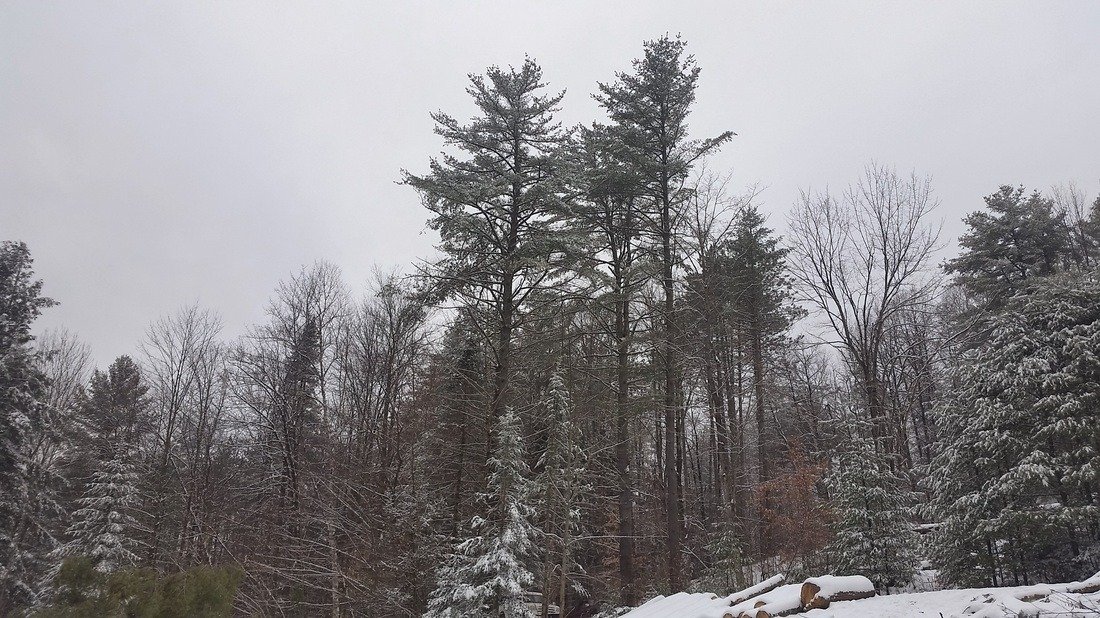 imgi_84_9279620_orig