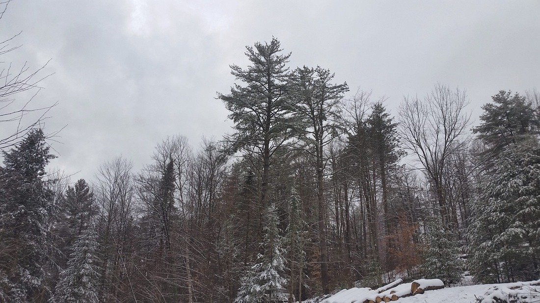 imgi_85_9036530_orig