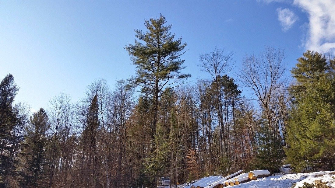 imgi_86_5782320_orig