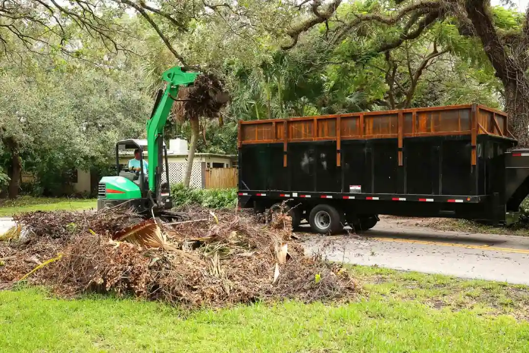Tree Debris Clearance