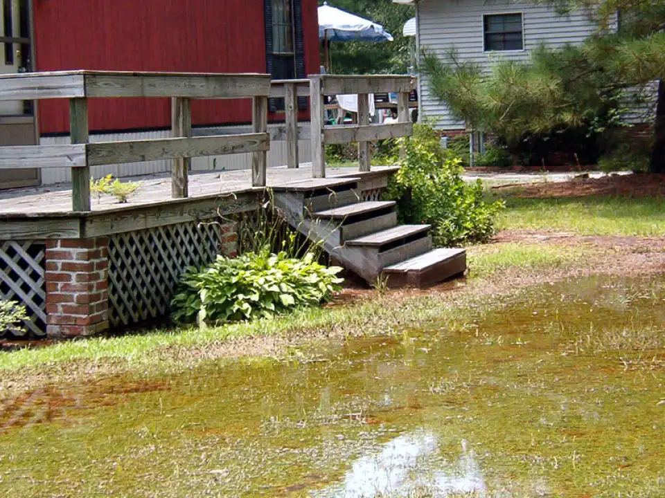 Garden Drainage Problems
