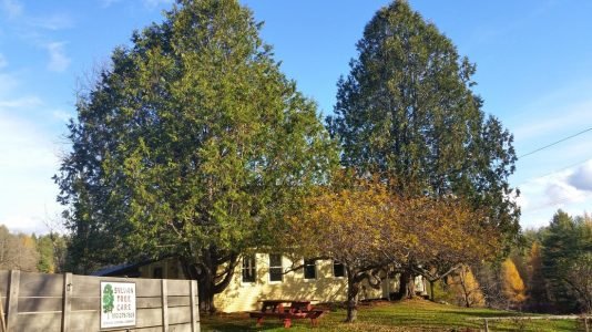 imgi_40_1165668_orig