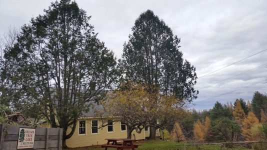 imgi_42_9864167_orig