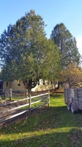 imgi_43_7173914_orig