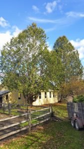 imgi_44_1886950_orig