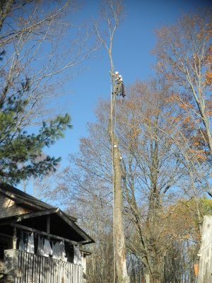 imgi_53_7050727_orig