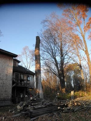 imgi_55_8037418_orig